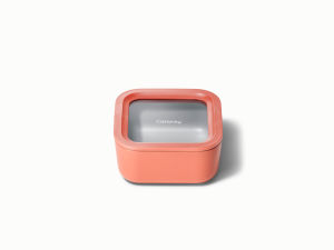 small food storage container perracotta